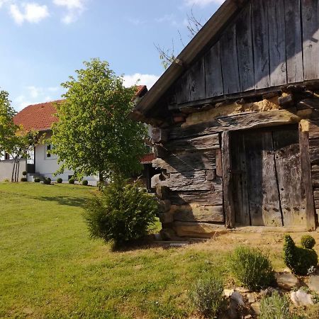 Kuca Za Odmor ,,Oletic 2" Villa Sveti Martin Na Muri Buitenkant foto
