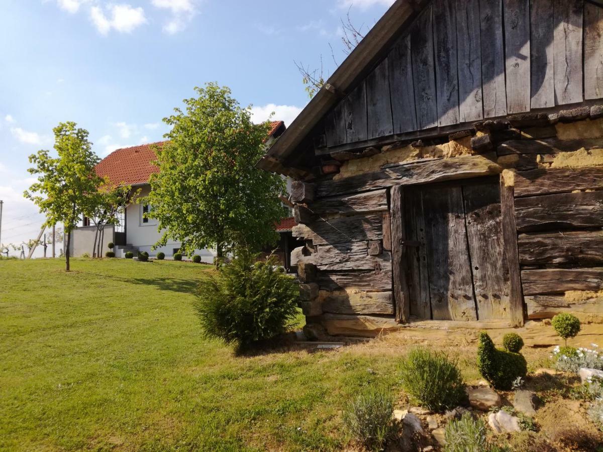 Kuca Za Odmor ,,Oletic 2" Villa Sveti Martin Na Muri Buitenkant foto