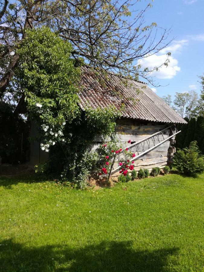 Kuca Za Odmor ,,Oletic 2" Villa Sveti Martin Na Muri Buitenkant foto
