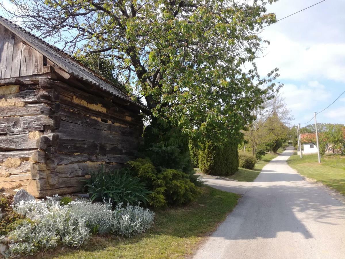 Kuca Za Odmor ,,Oletic 2" Villa Sveti Martin Na Muri Buitenkant foto