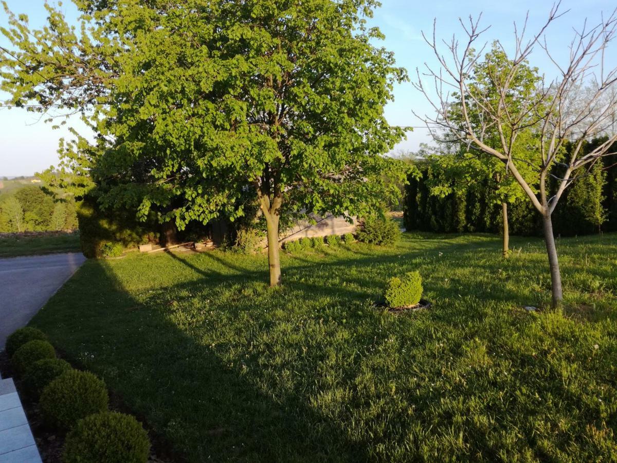 Kuca Za Odmor ,,Oletic 2" Villa Sveti Martin Na Muri Buitenkant foto