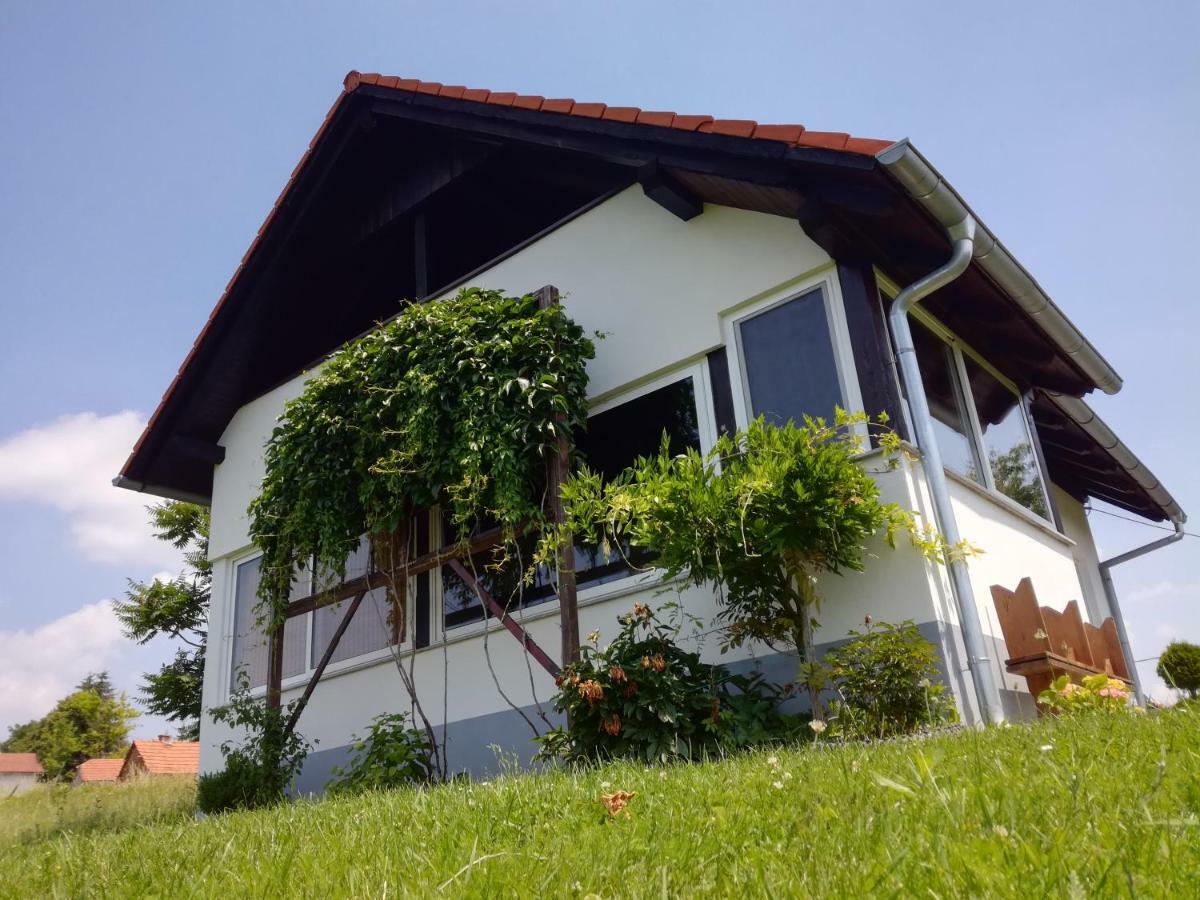 Kuca Za Odmor ,,Oletic 2" Villa Sveti Martin Na Muri Buitenkant foto