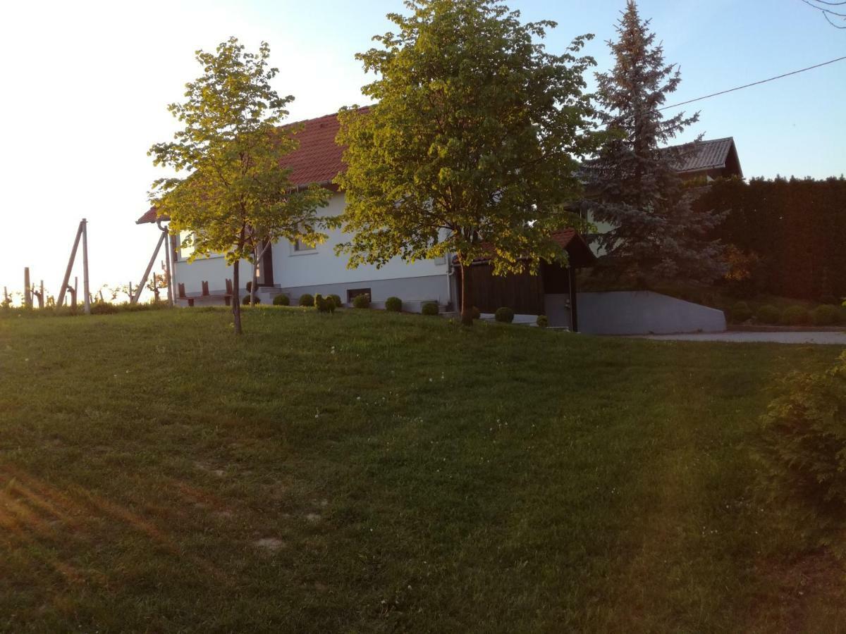 Kuca Za Odmor ,,Oletic 2" Villa Sveti Martin Na Muri Buitenkant foto