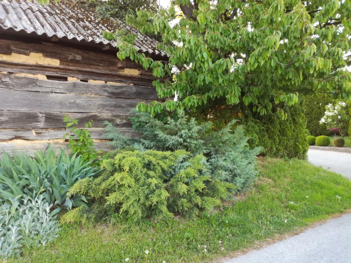 Kuca Za Odmor ,,Oletic 2" Villa Sveti Martin Na Muri Buitenkant foto