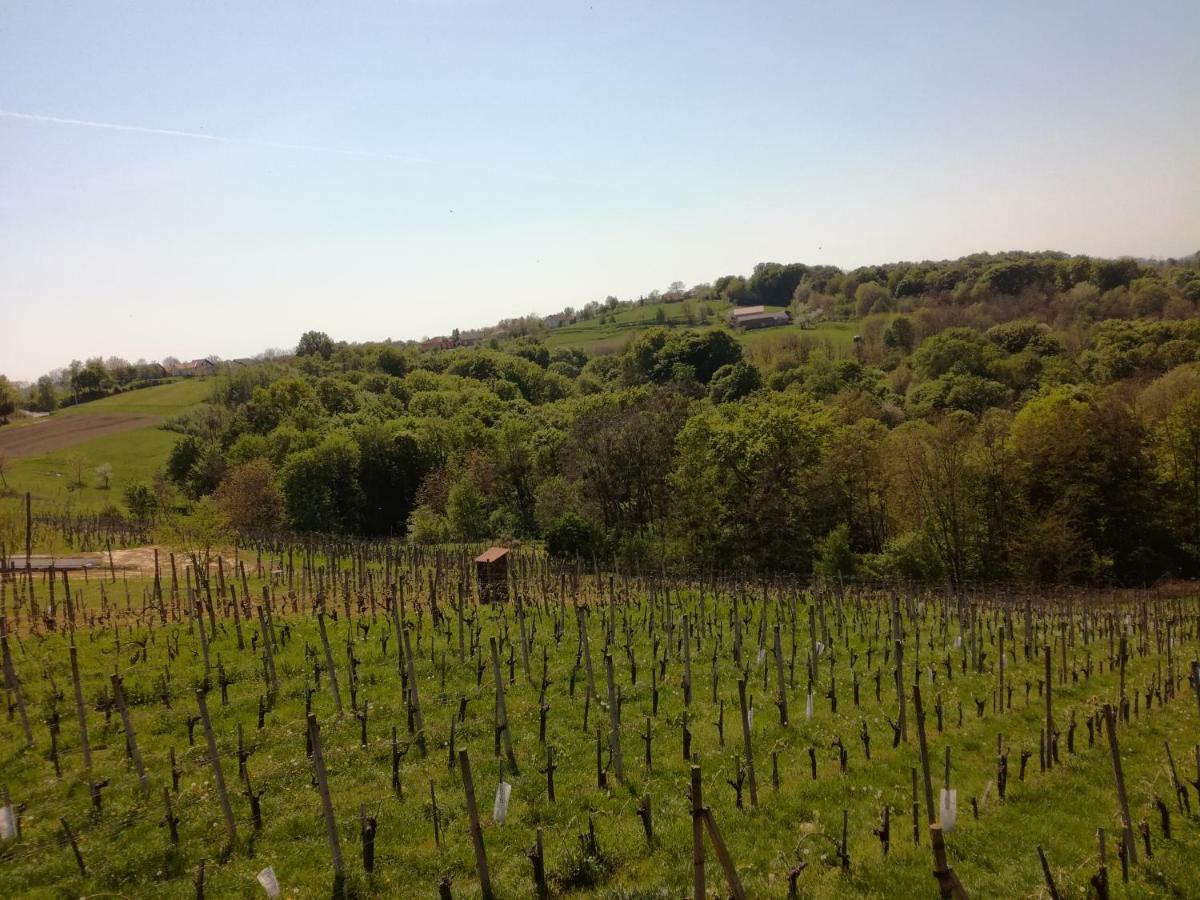 Kuca Za Odmor ,,Oletic 2" Villa Sveti Martin Na Muri Buitenkant foto