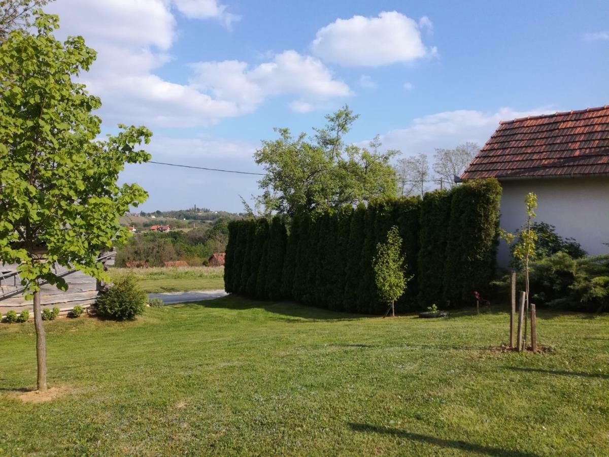 Kuca Za Odmor ,,Oletic 2" Villa Sveti Martin Na Muri Buitenkant foto
