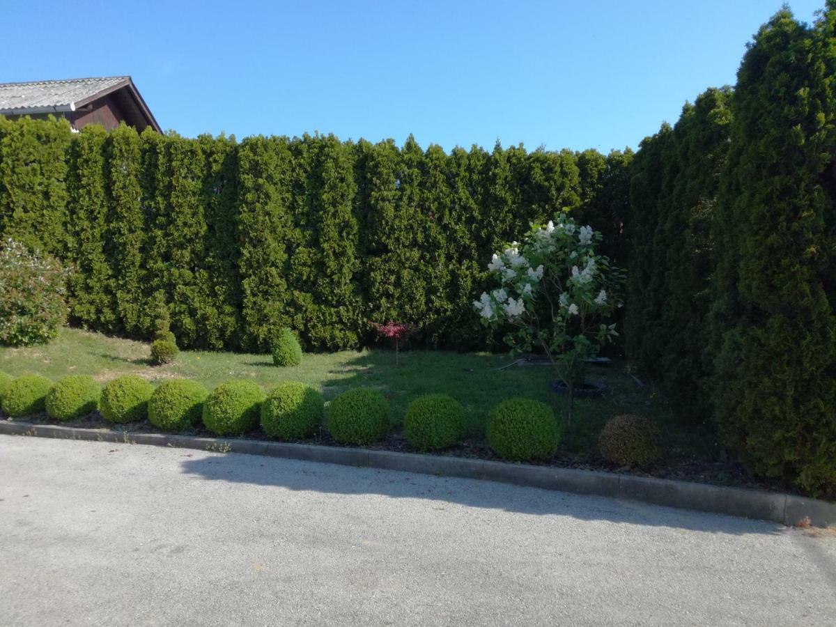 Kuca Za Odmor ,,Oletic 2" Villa Sveti Martin Na Muri Buitenkant foto