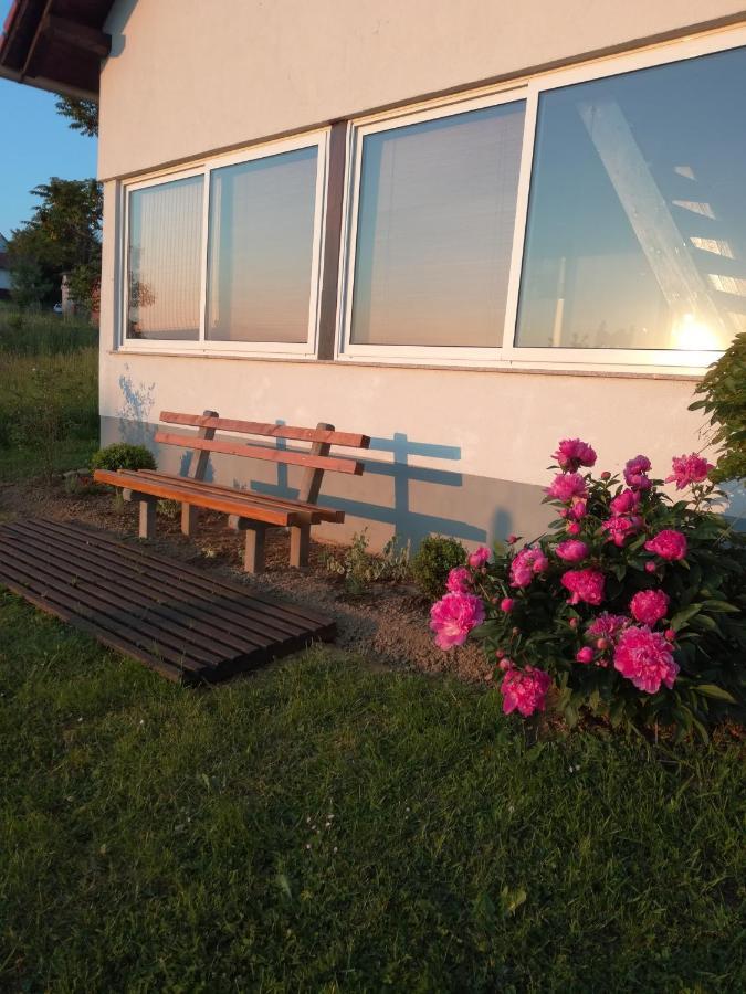 Kuca Za Odmor ,,Oletic 2" Villa Sveti Martin Na Muri Buitenkant foto